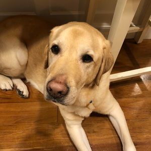 Meet your Posher, Terri